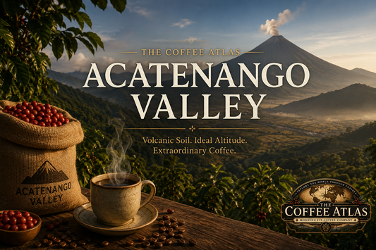 The Coffee Atlas | Acatenango Valley