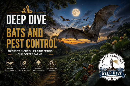 Deep Dive | Bats and Pest Control