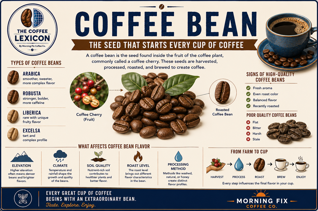 Bean | The Coffee Lexicon