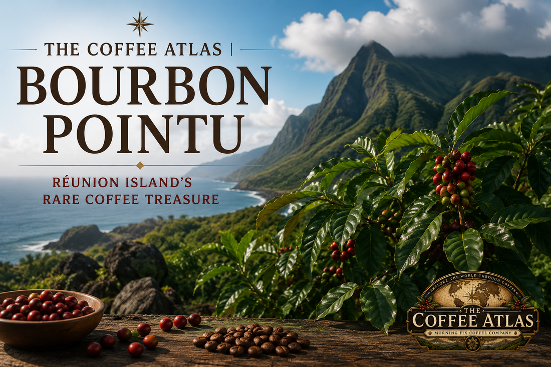 The Coffee Atlas | Bourbon Pointu
