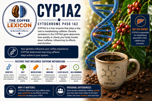 The Coffee Lexicon | CYP1A2