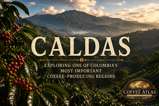 The Coffee Atlas | Caldas