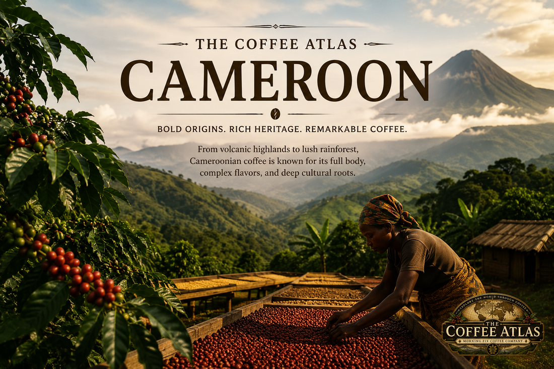 The Coffee Atlas | Cameroon