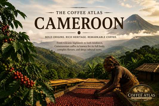 The Coffee Atlas | Cameroon