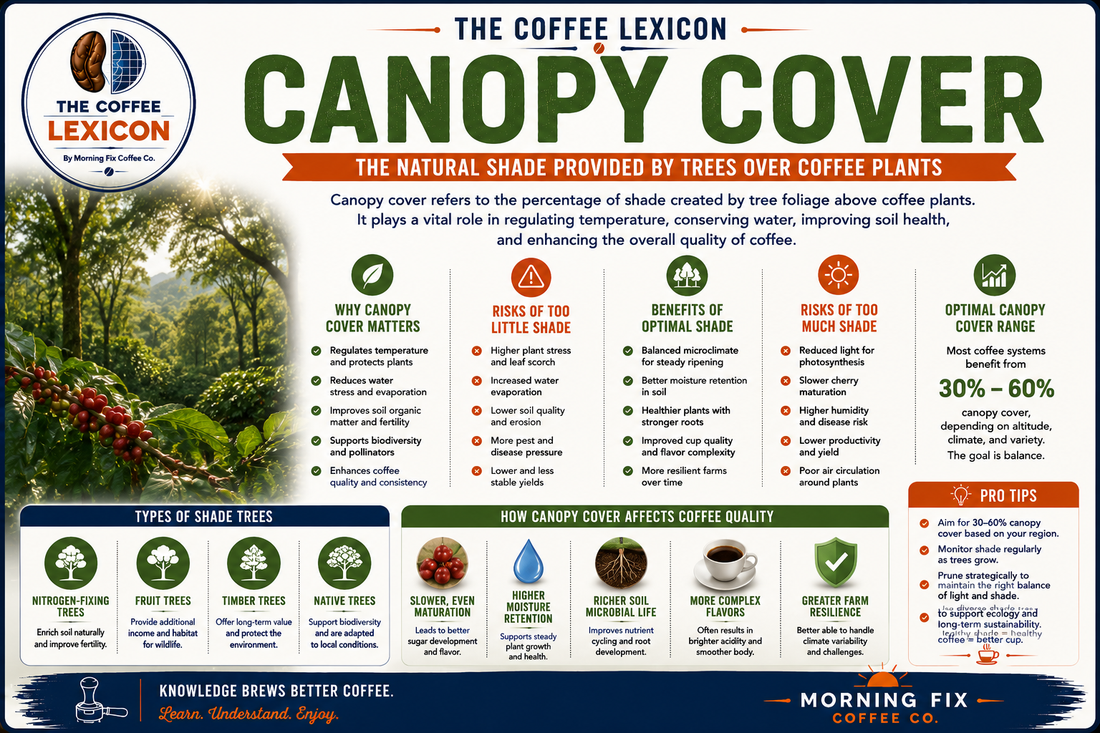 The Coffee Lexicon | Canopy Cover