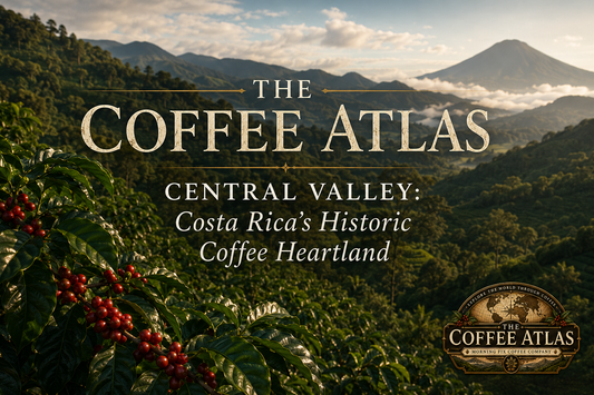 The Coffee Atlas | Central Valley