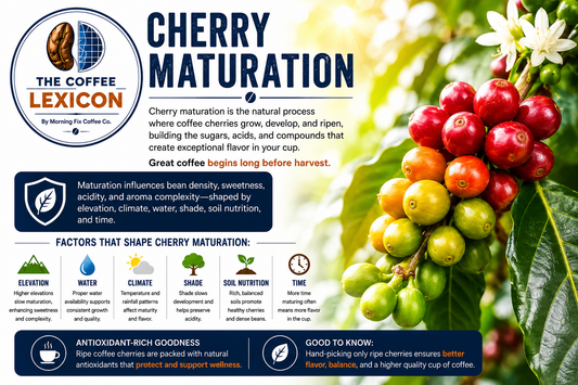 The Coffee Lexicon | Cherry Maturation