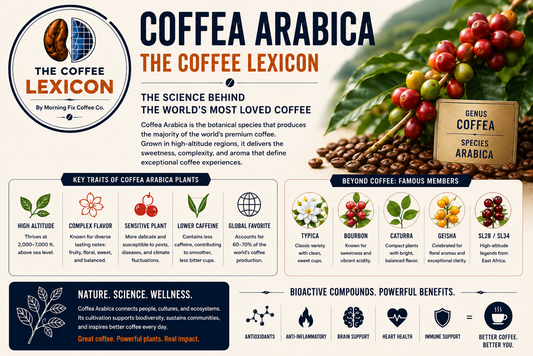 Coffea Arabica | The Coffee Lexicon