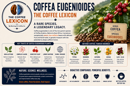 Coffea Eugenioides | The Coffee Lexicon