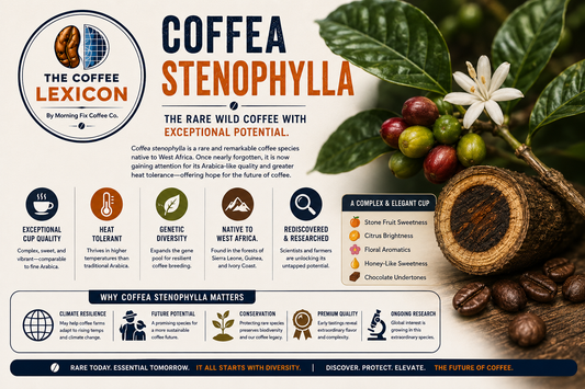 Coffea Stenophylla | The Coffee Lexicon