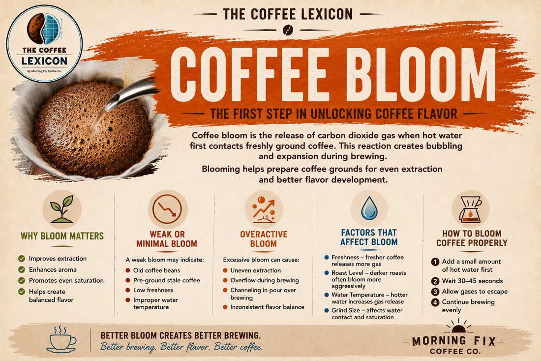 Coffee Bloom | The Coffee Lexicon