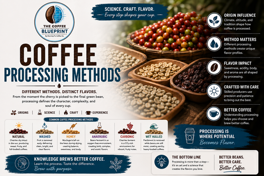 The Coffee Blueprint | Coffee Processing Methods