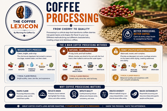 Coffee Processing | The Coffee Lexicon