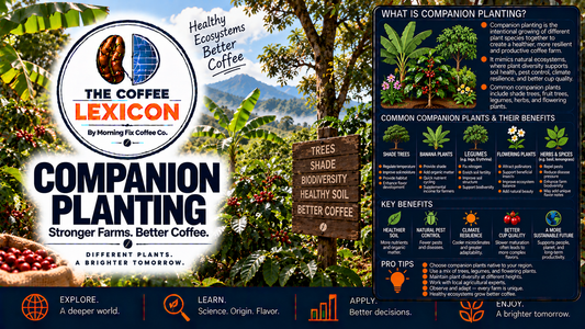 The Coffee Lexicon | Companion Planting