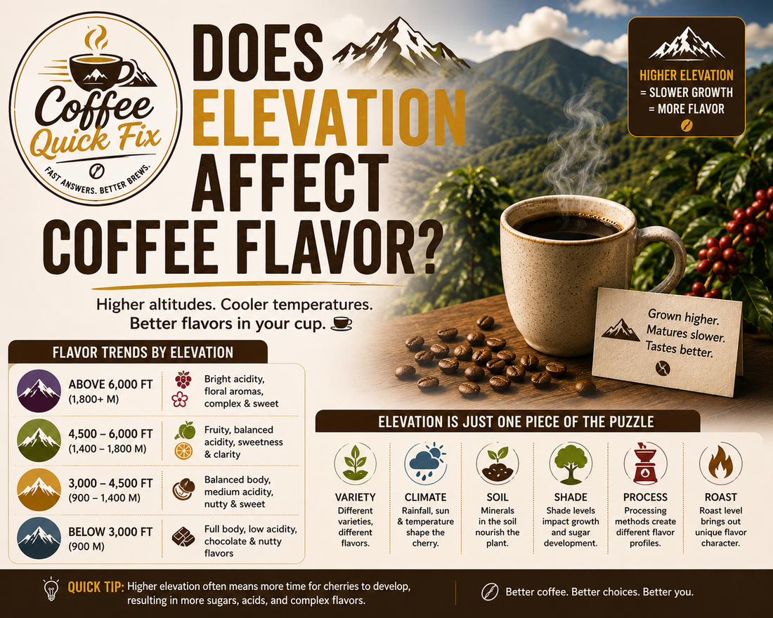 Coffee Quick Fix | Does Elevation Affect Coffee Flavor?