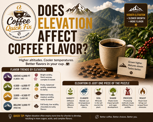 Coffee Quick Fix | Does Elevation Affect Coffee Flavor?