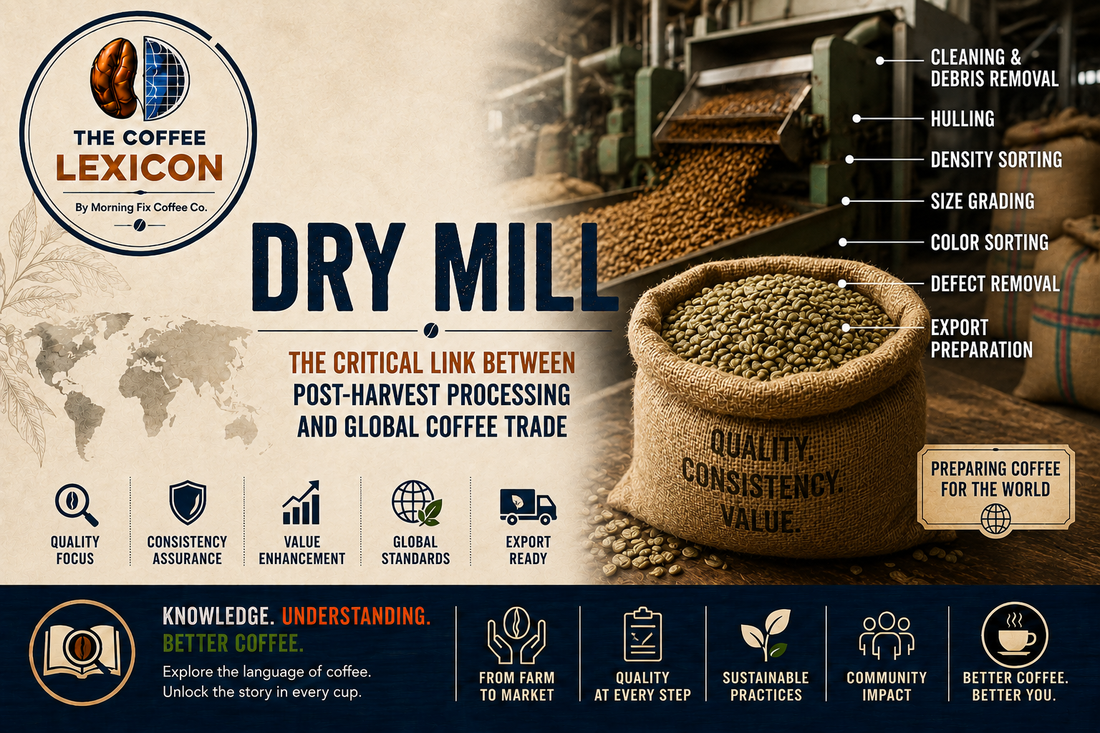 The Coffee Lexicon | Dry Mill