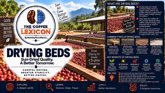 The Coffee Lexicon | Drying Beds