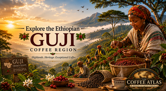 Exploring the Ethiopian Guji Coffee Region
