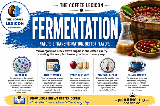 The Coffee Lexicon | Fermentation