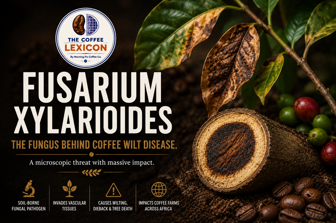 Fusarium xylarioides | The Coffee Lexicon