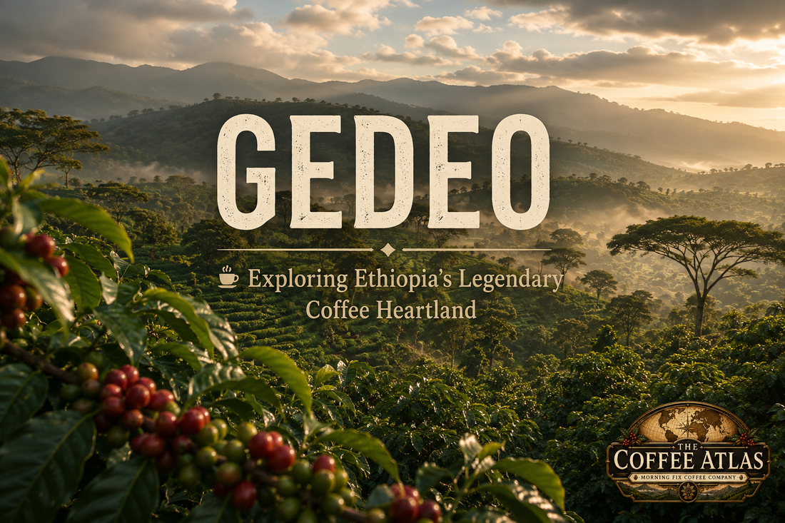 The Coffee Atlas | Gedeo