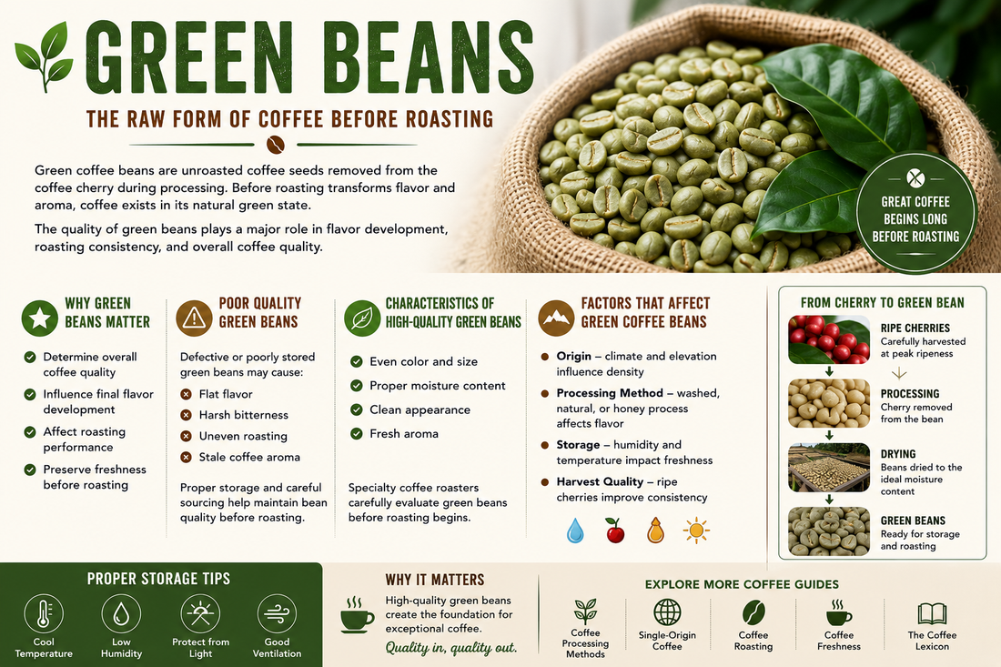Green Beans | The Coffee Lexicon