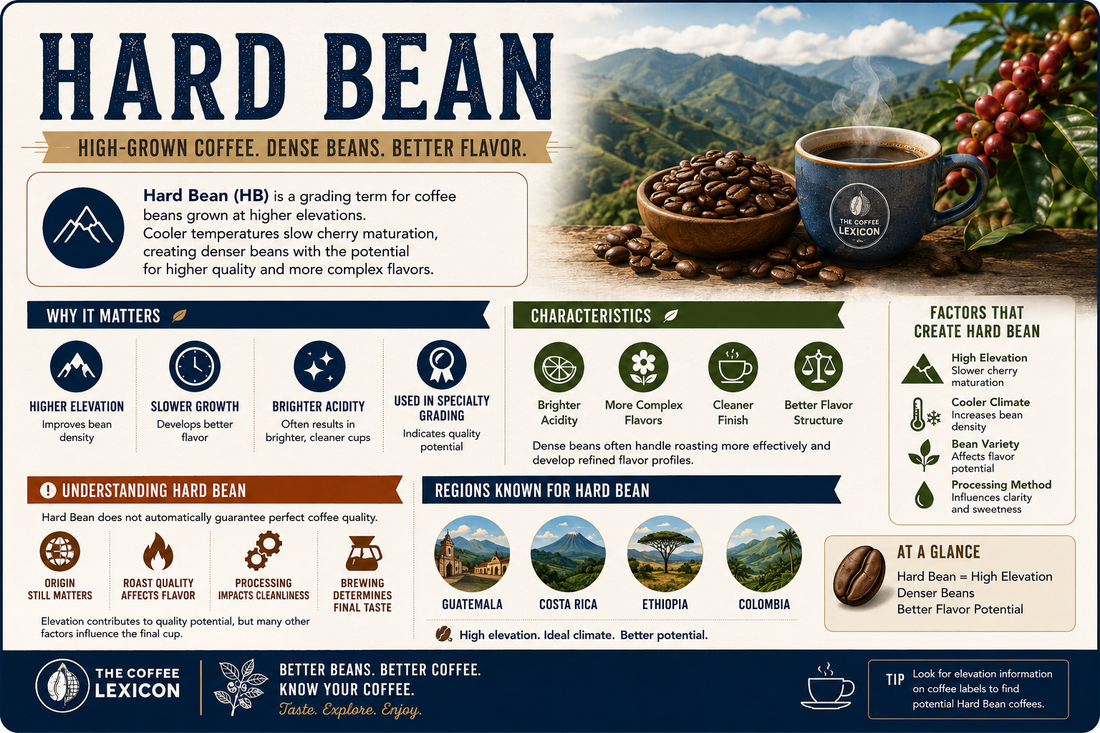 Hard Bean | The Coffee Lexicon