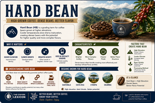 Hard Bean | The Coffee Lexicon