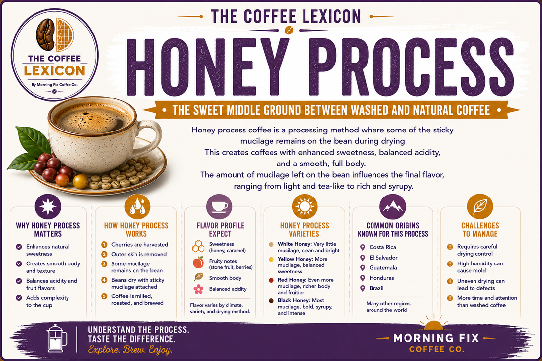 Honey Process | The Coffee Lexicon