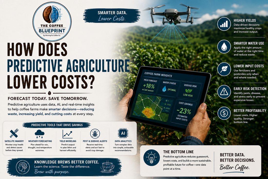 The Coffee Blueprint | How Does Predictive Agriculture Lower Costs?