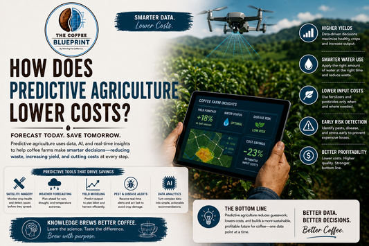The Coffee Blueprint | How Does Predictive Agriculture Lower Costs?