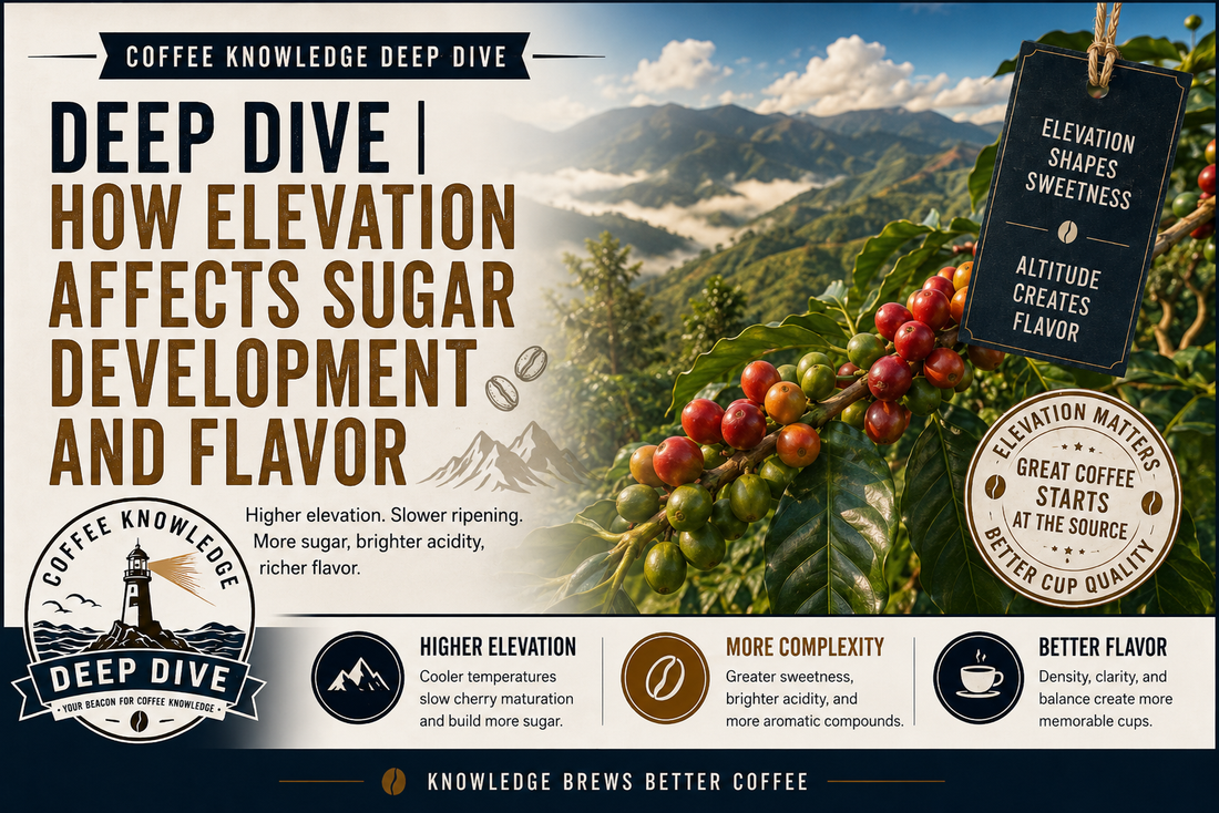 Deep Dive | How Elevation Affects Sugar Development and Flavor