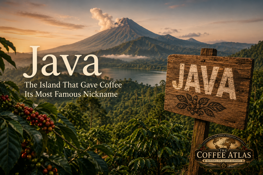 The Coffee Atlas | Java