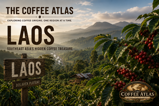 The Coffee Atlas | Laos