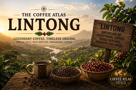 The Coffee Atlas | Lintong