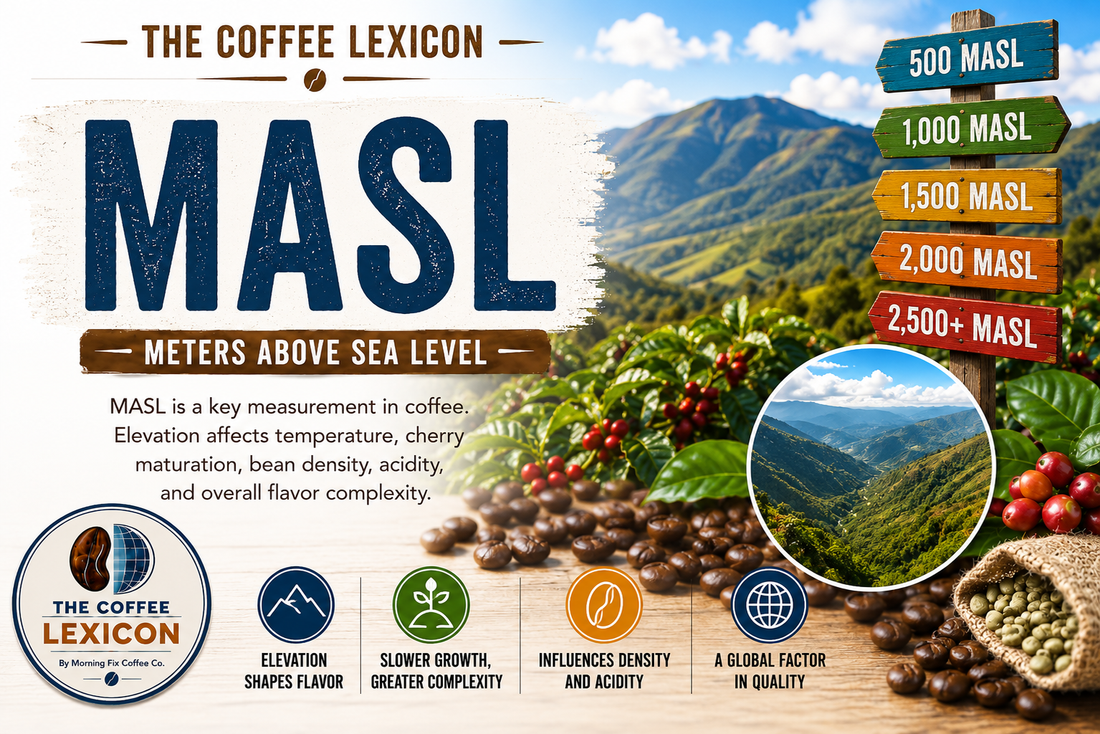 The Coffee Lexicon | MASL