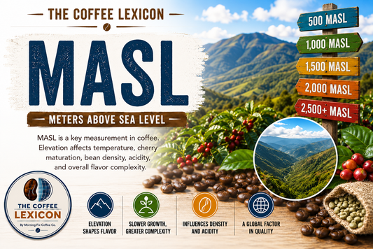 The Coffee Lexicon | MASL