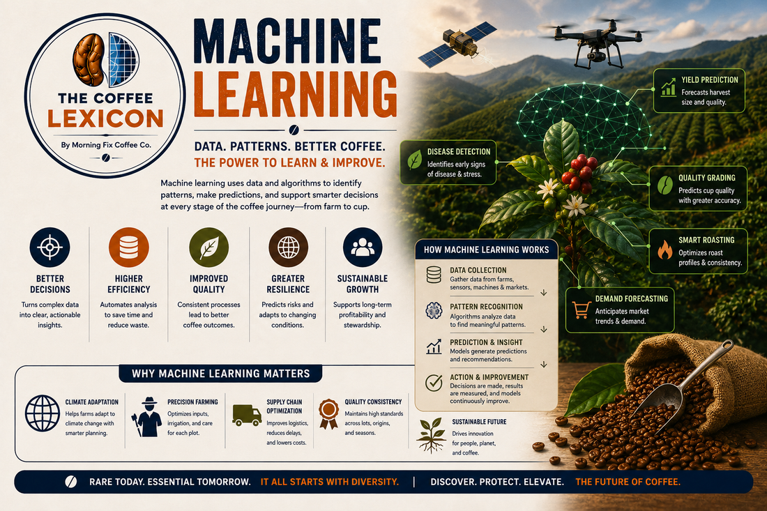 The Coffee Lexicon | Machine Learning