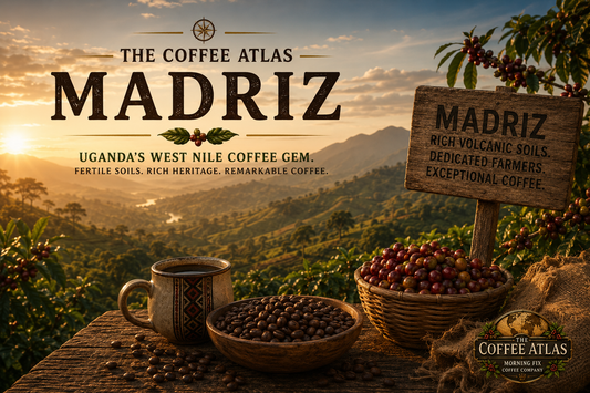 The Coffee Atlas | Madriz