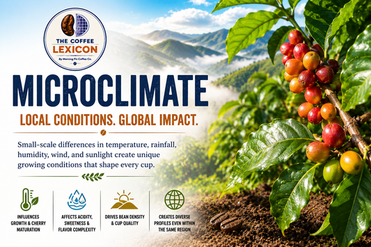 The Coffee Lexicon | Microclimate