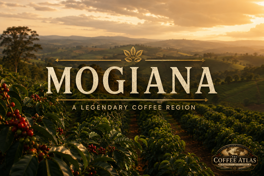 The Coffee Atlas | Mogiana