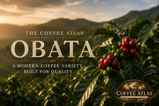 The Coffee Atlas | Obata
