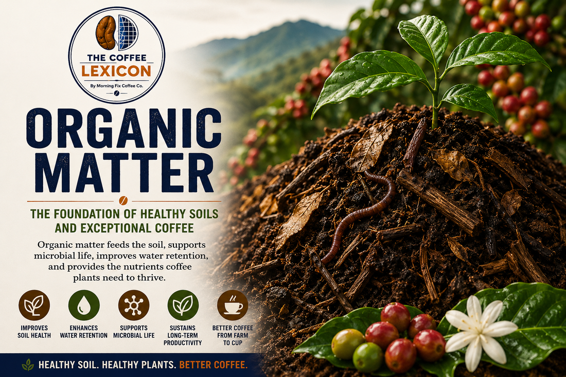 The Coffee Lexicon | Organic Matter