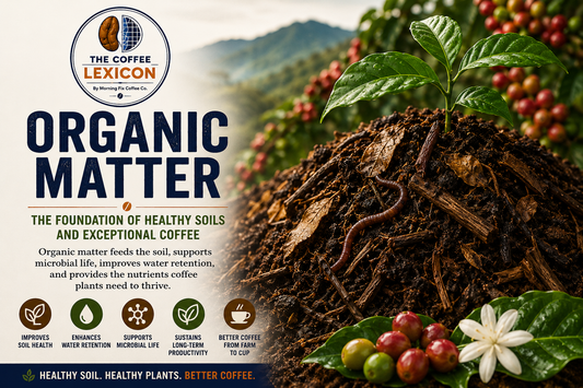 The Coffee Lexicon | Organic Matter