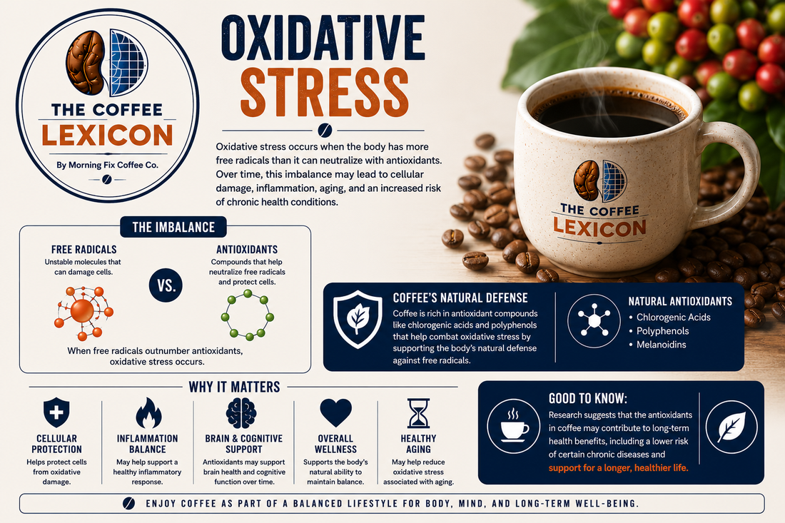 Oxidative Stress | The Coffee Lexicon
