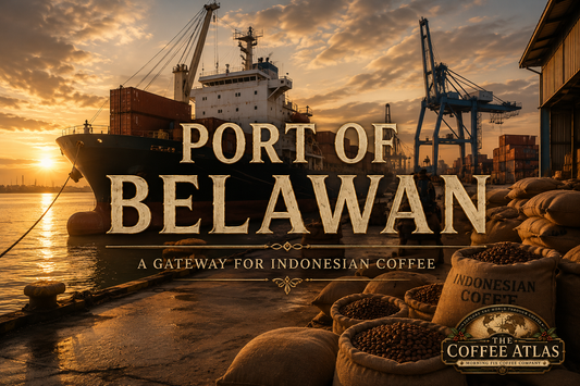 The Coffee Atlas | Port of Belawan