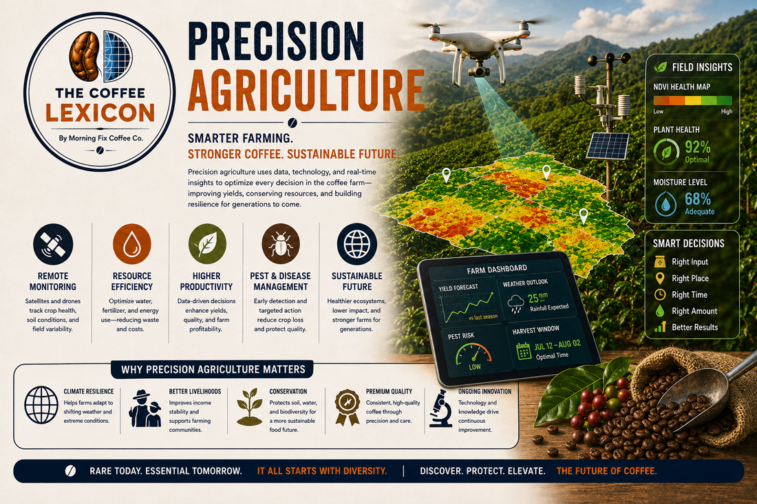 The Coffee Lexicon | Precision Agriculture