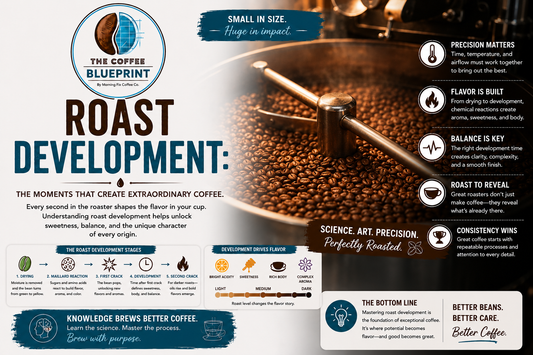The Coffee Blueprint | Roast Development