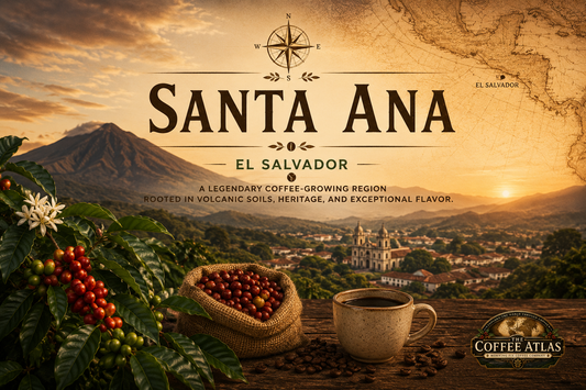 The Coffee Atlas | Santa Ana